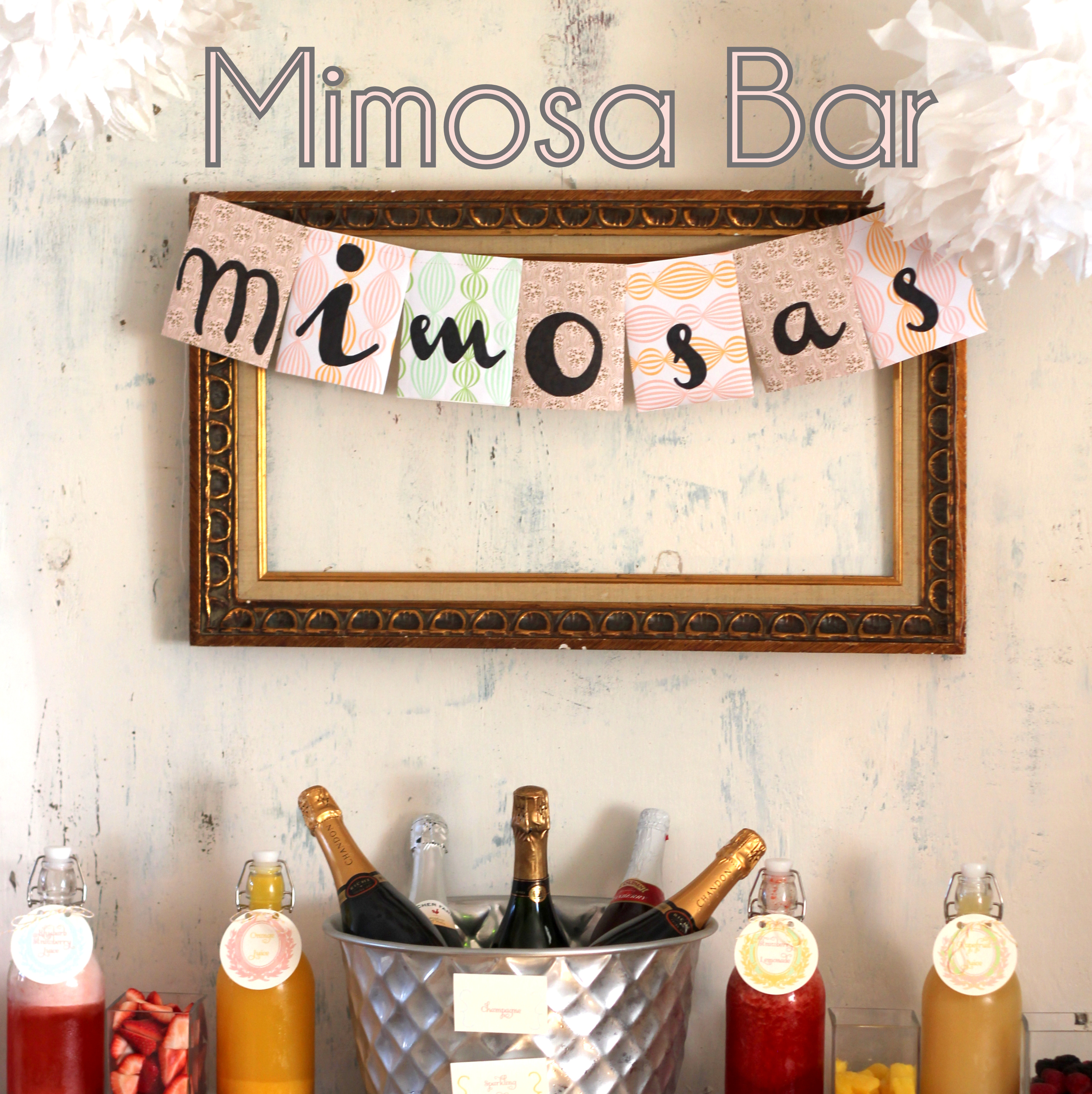 Mimosa Bar