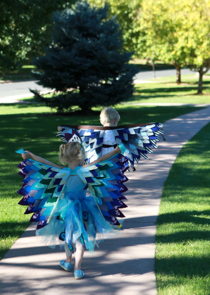 bird themed halloween costumes- an eagle and a peacock