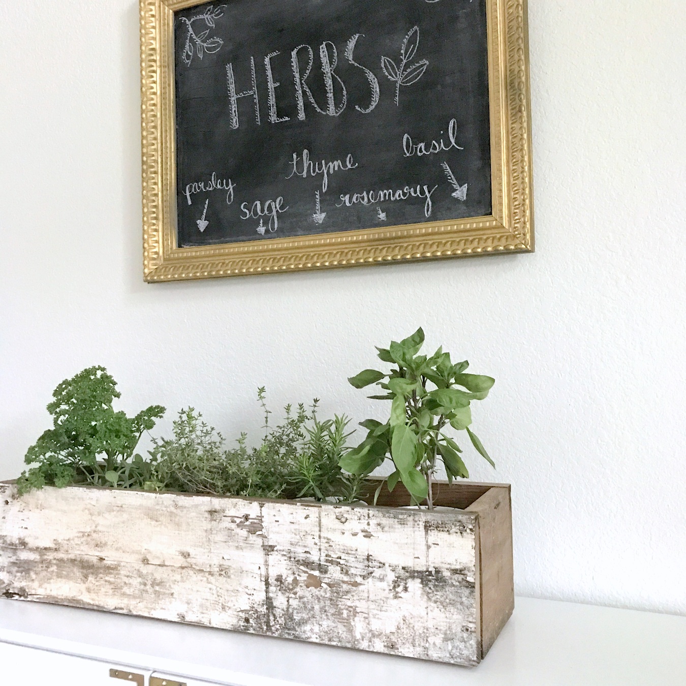 Help your garden transition from summer to fall with this DIY herb planter box