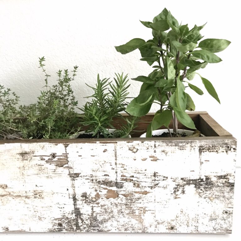 DIY wooden herb planter box