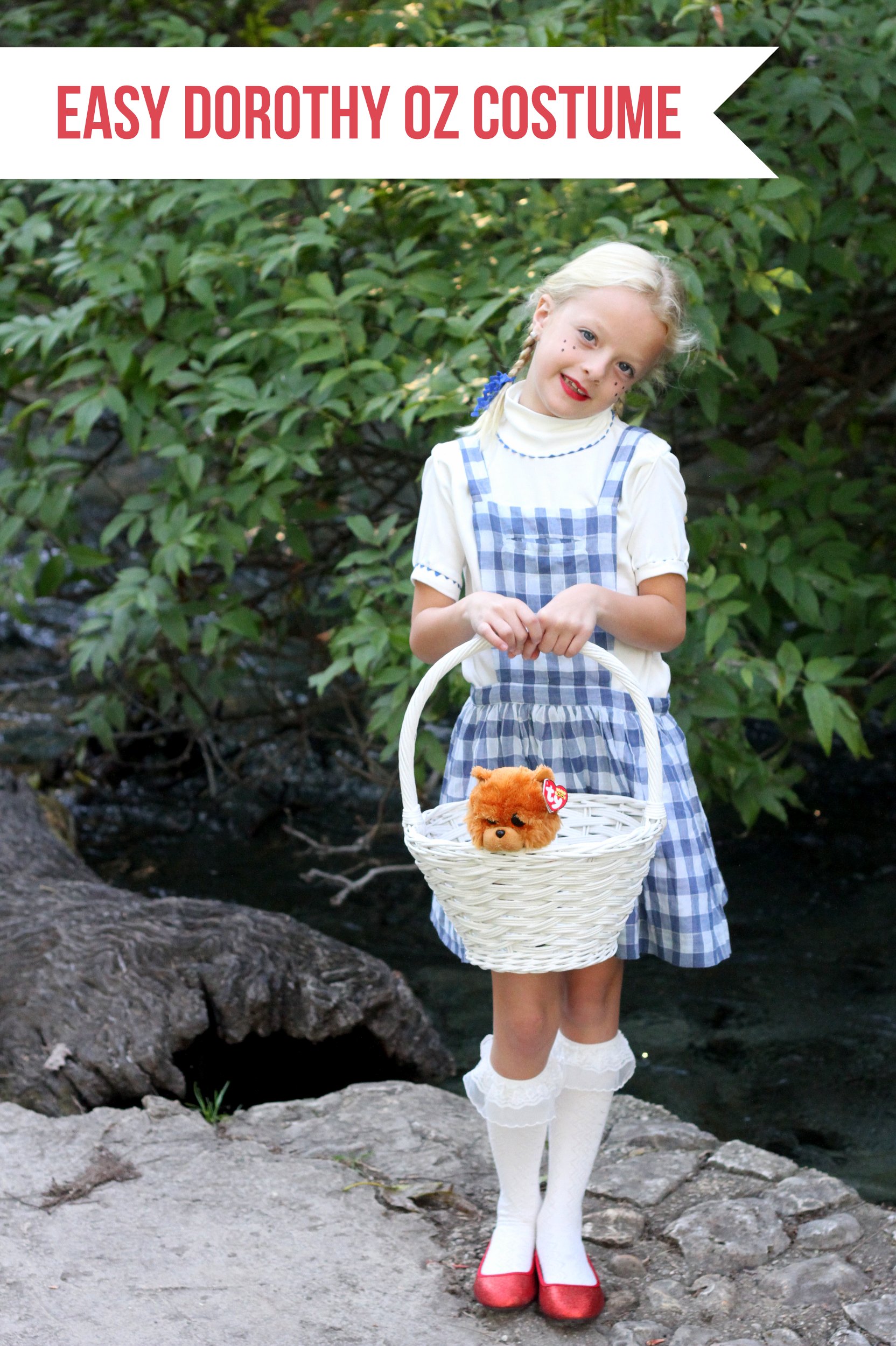 Easy Wizard of Oz Halloween Costumes- Dorothy