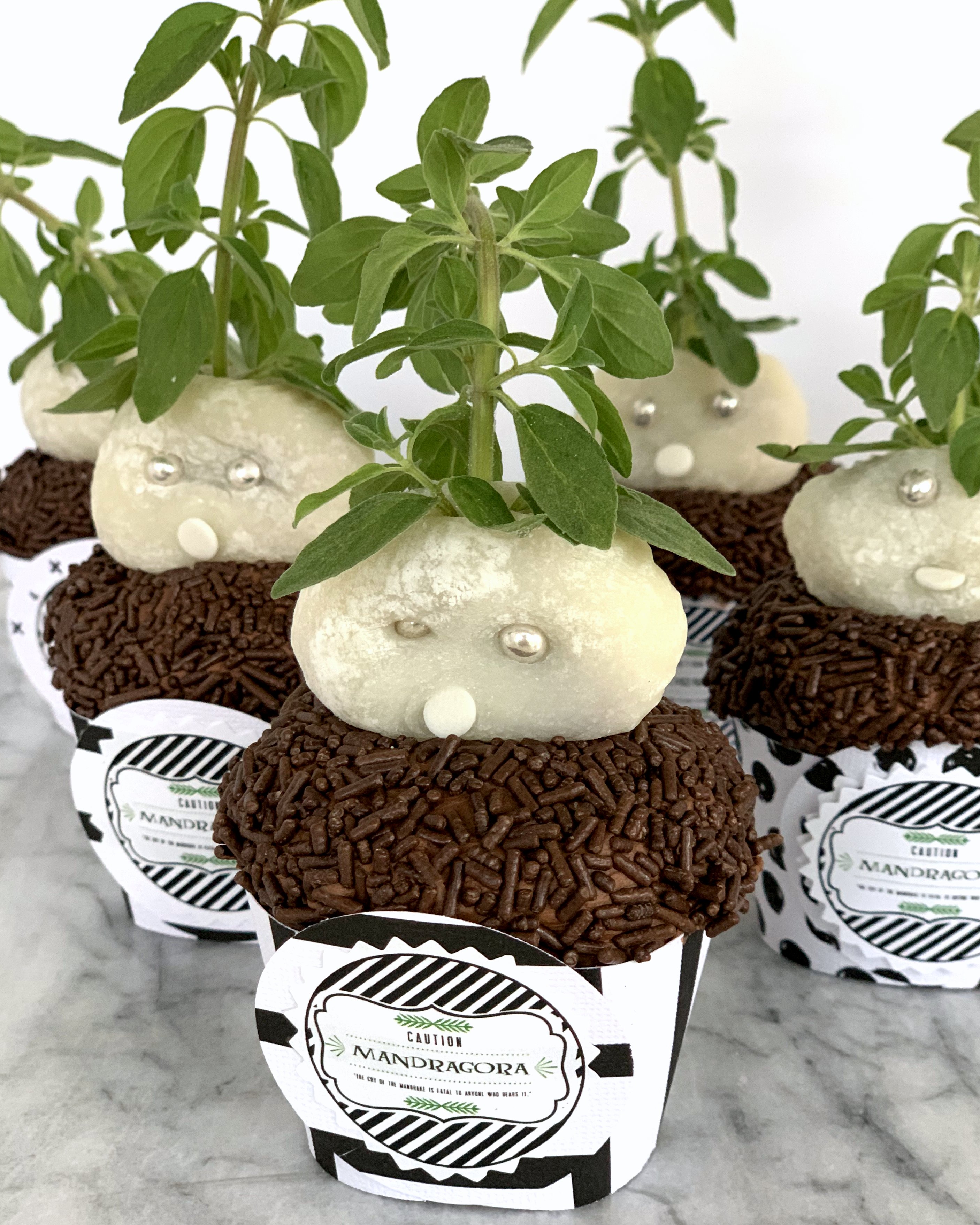 Harry Potter Party! How to make Mandrake cupcakes (with free printable "Mandragora" labels)