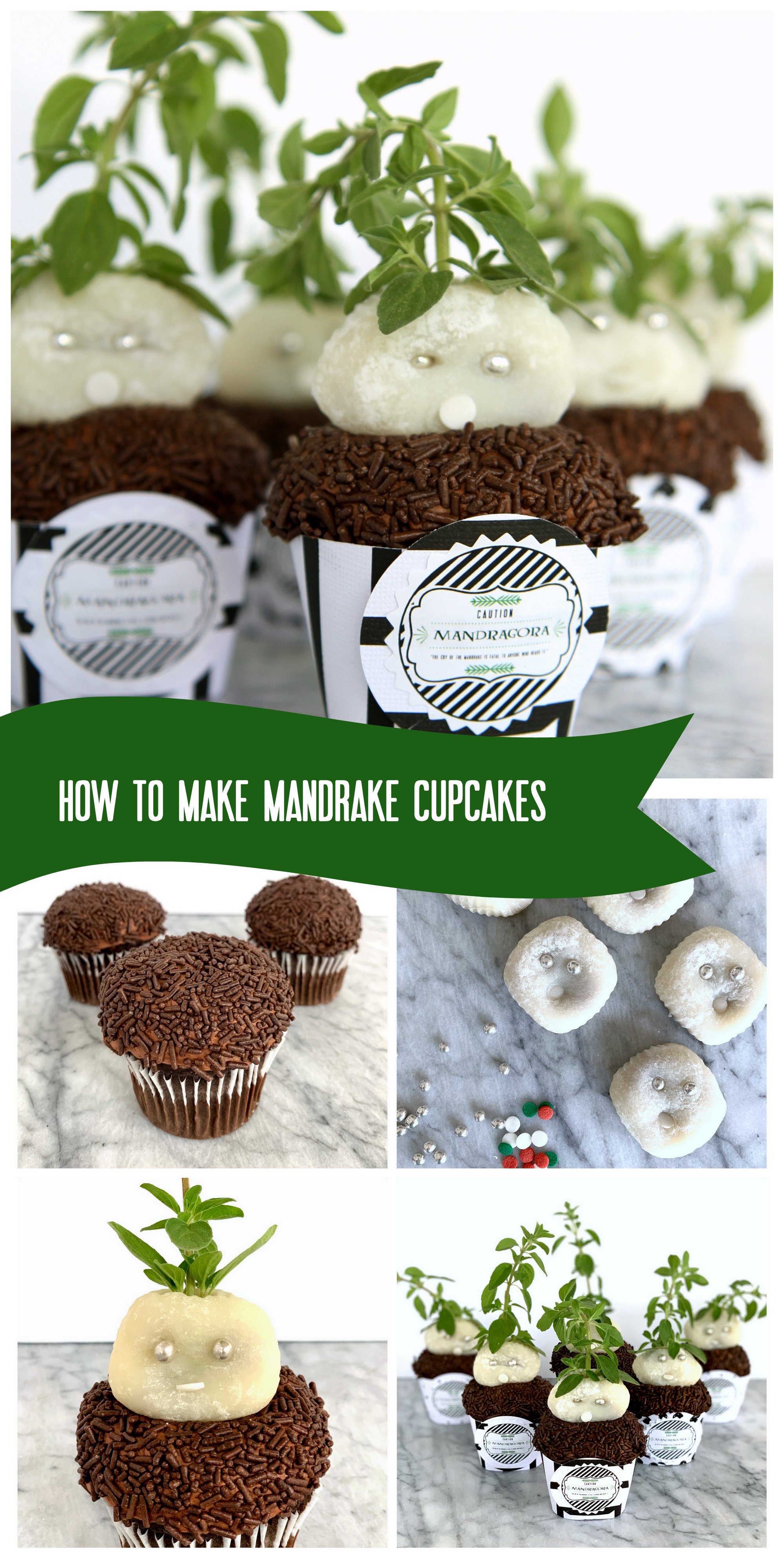 Harry Potter Party! How to make Mandrake cupcakes (with free printable "Mandragora" labels)