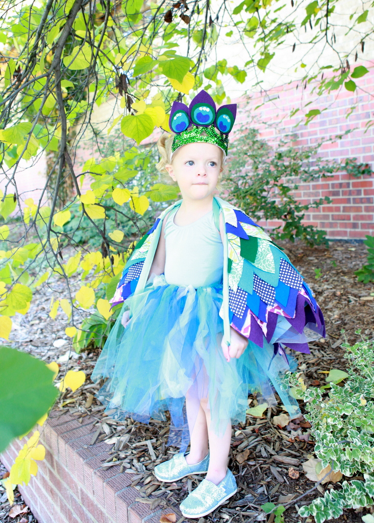 little bird halloween costumes- a peacock and an eagle