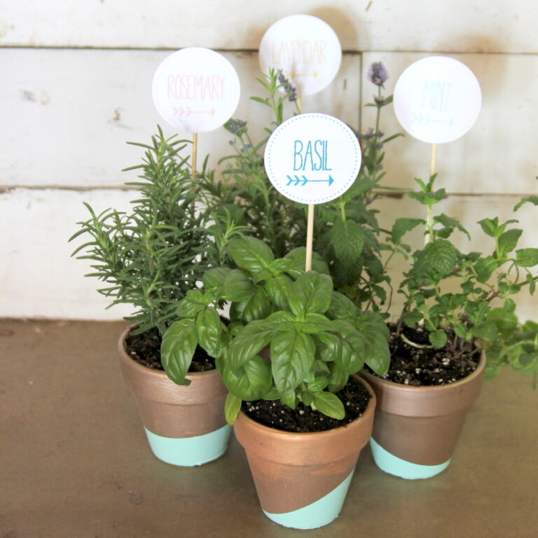 dipped herb pots with free teacher appreciation tags