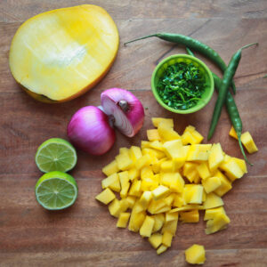 fresh mango salsa at kojo-designs